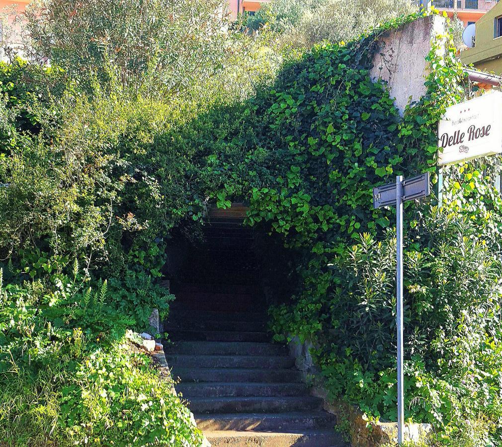Delle Rose